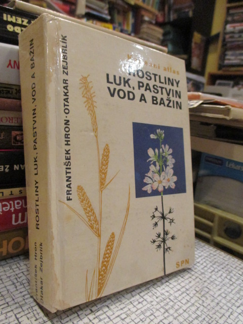 Zav��t okno