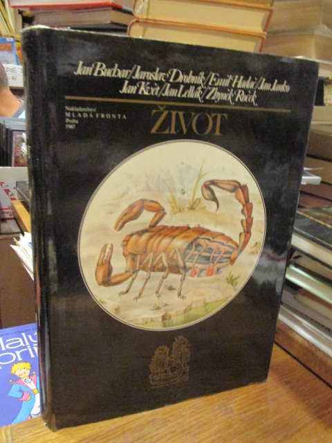 Zav��t okno