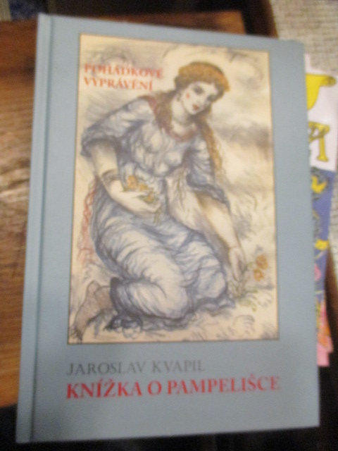 Zav��t okno