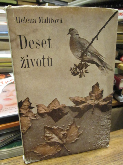 Zav��t okno