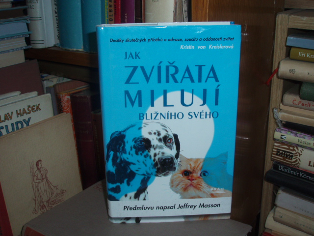 Zav��t okno