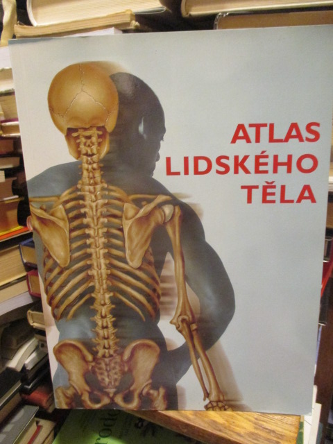 Zav��t okno
