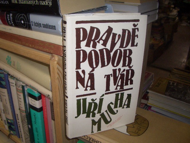 Zav��t okno