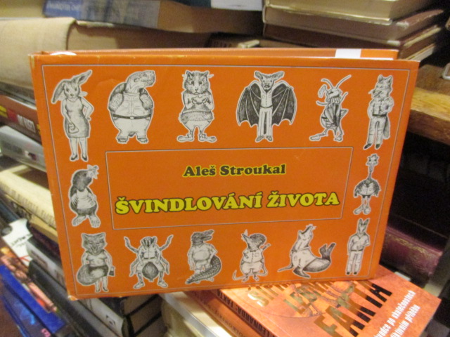 Zav��t okno