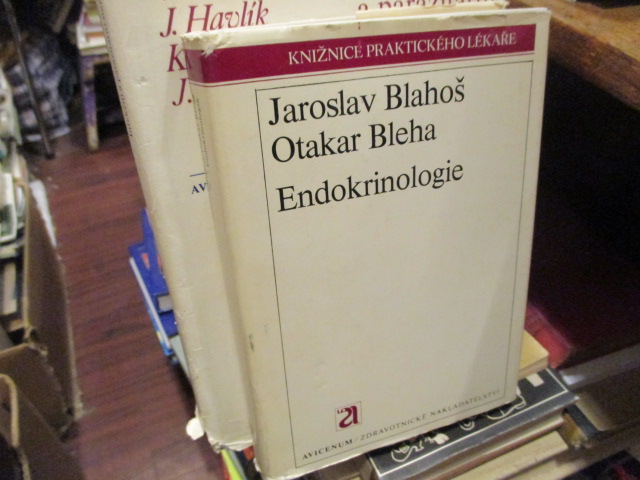 Zav��t okno