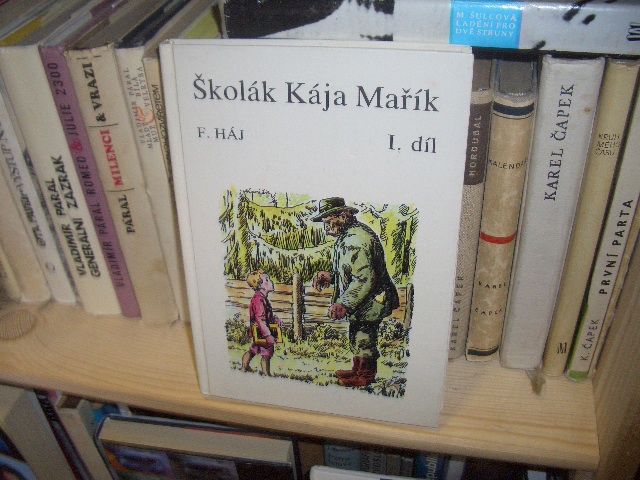 Zav��t okno
