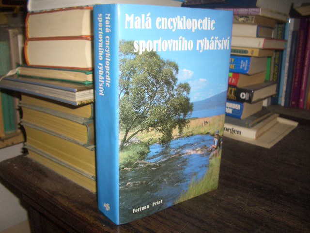 Zav��t okno