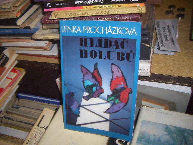 Zav��t okno
