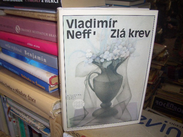 Zav��t okno