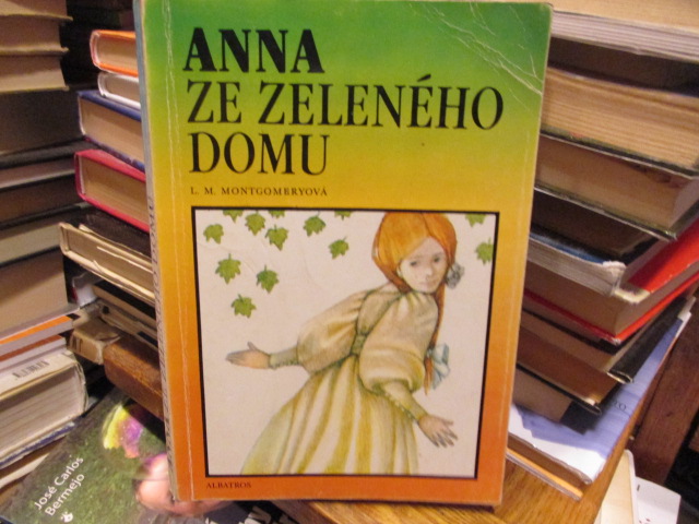 Zav��t okno