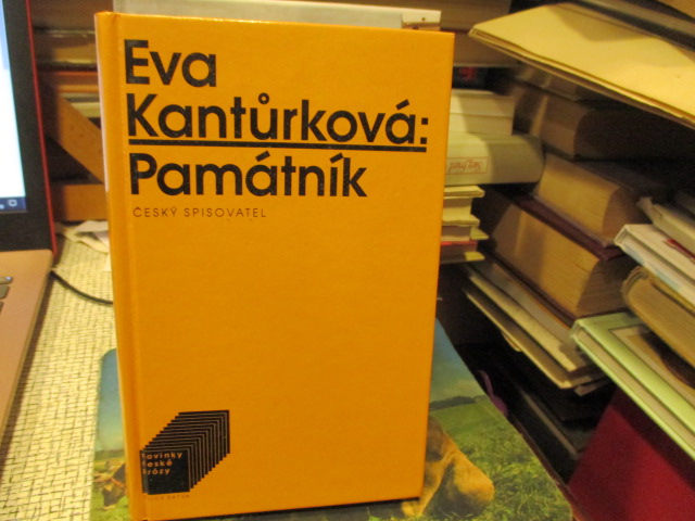 Zav��t okno