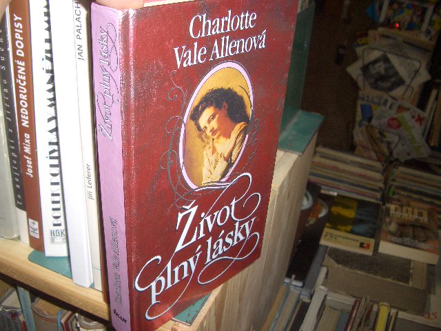 Zav��t okno