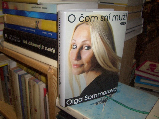 Zav��t okno