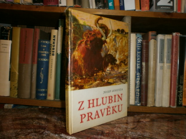 Zav��t okno