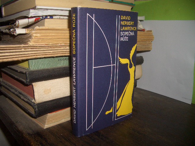 Zav��t okno