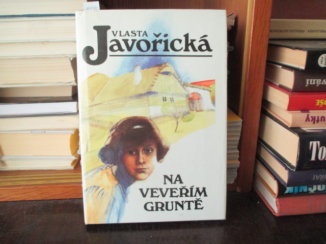 Zav��t okno