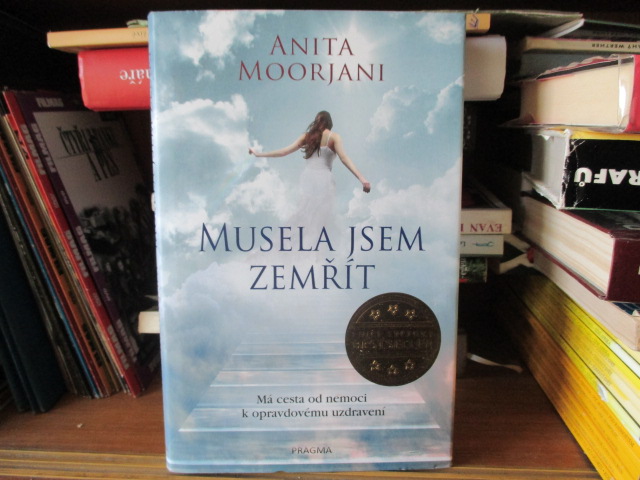 Zav��t okno
