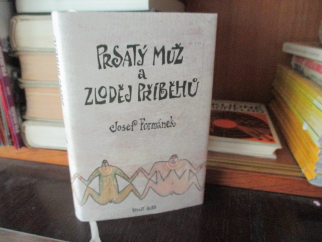 Zav��t okno