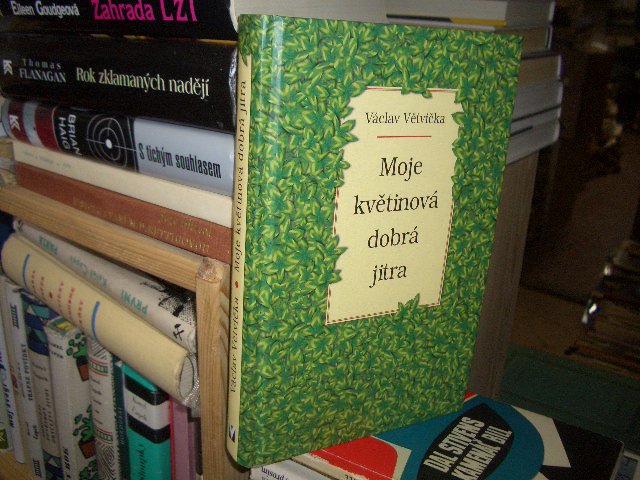 Zav��t okno