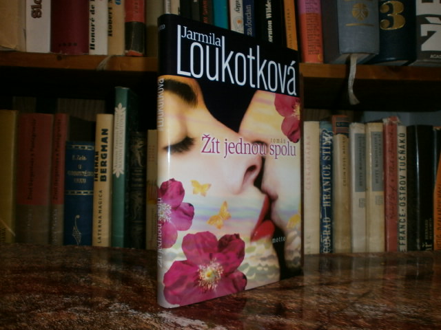 Zav��t okno