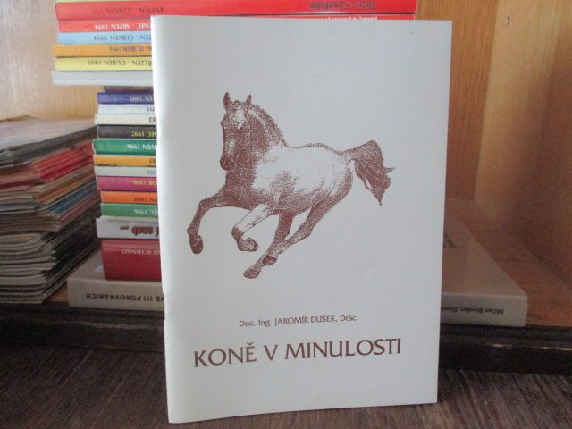 Zav��t okno