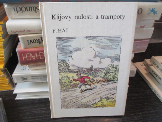 Zav��t okno