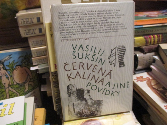Zav��t okno