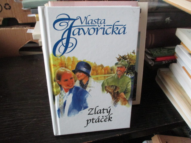 Zav��t okno