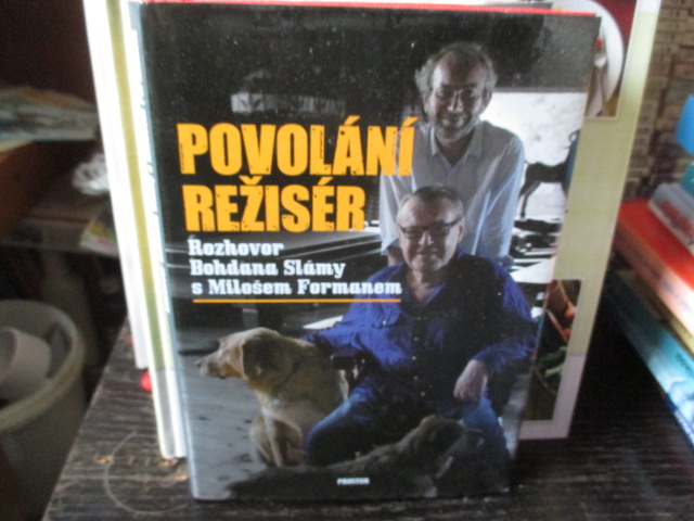 Zav��t okno