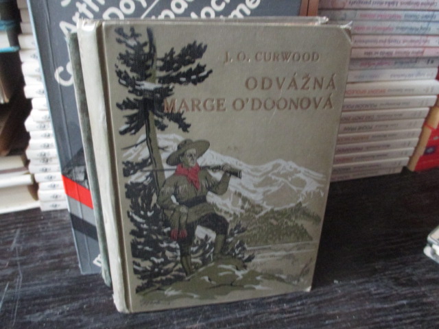 Zav��t okno