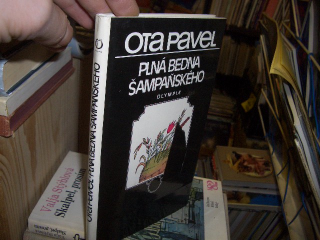 Zav��t okno