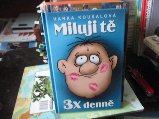 Zav��t okno