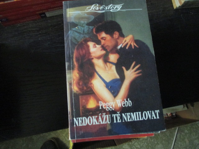 Zav��t okno