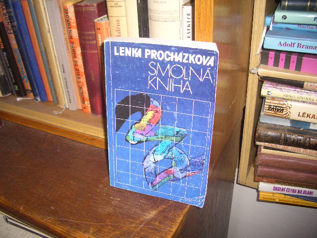 Zav��t okno