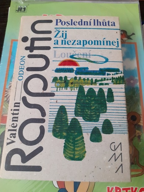 Zav��t okno