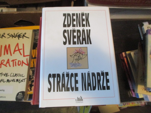 Zav��t okno