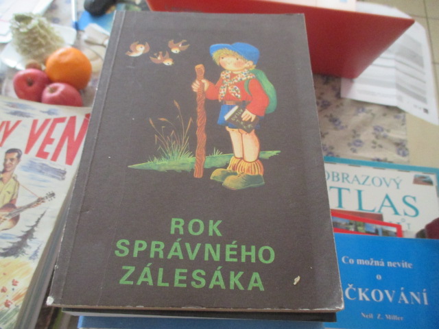 Zav��t okno