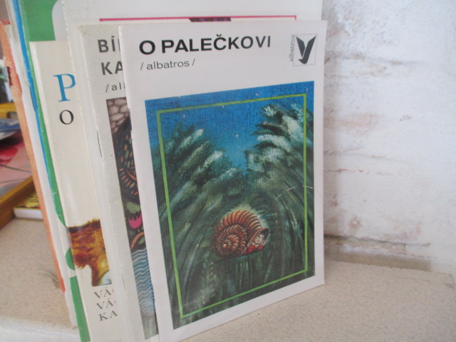 Zav��t okno