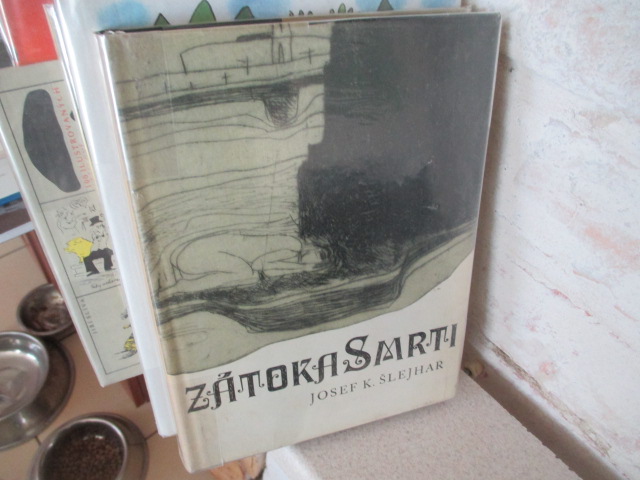 Zav��t okno
