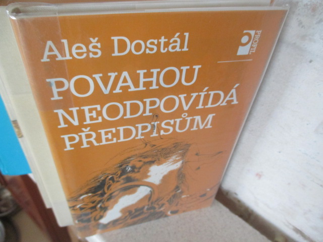 Zav��t okno