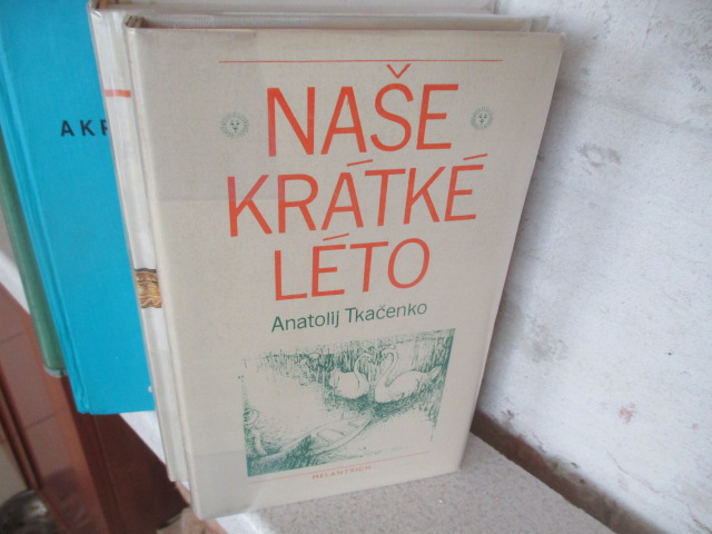 Zav��t okno