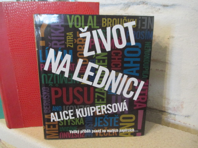 Zav��t okno