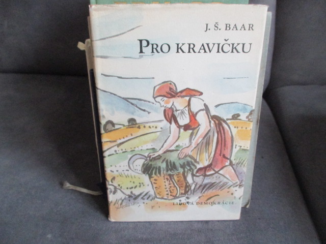 Zav��t okno