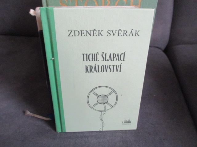 Zav��t okno