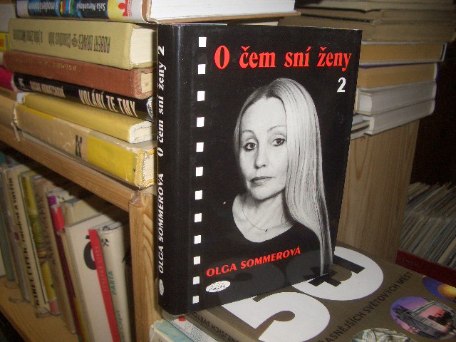 Zav��t okno