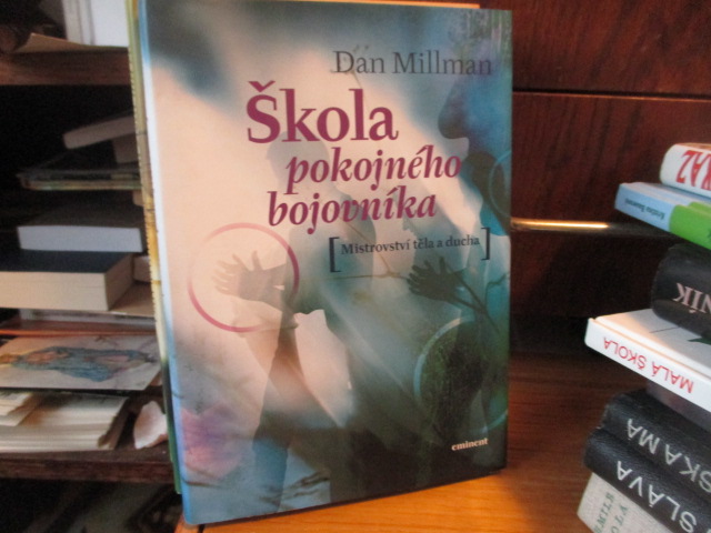 Zav��t okno
