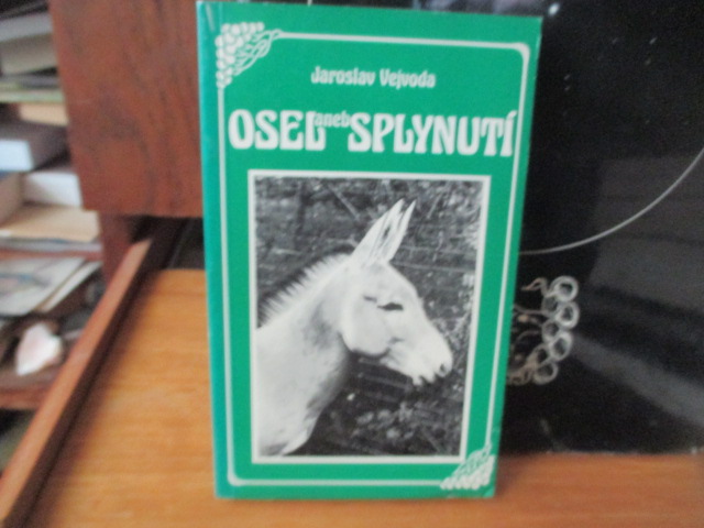 Zav��t okno