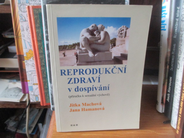 Zav��t okno