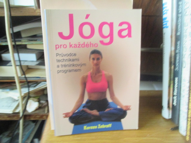 Zav��t okno