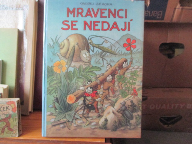 Zav��t okno